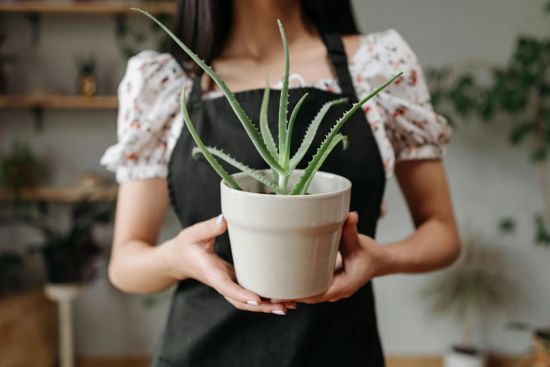 Hoja fresca de aloe vera y gel transparente rodeados de ingredientes botánicos