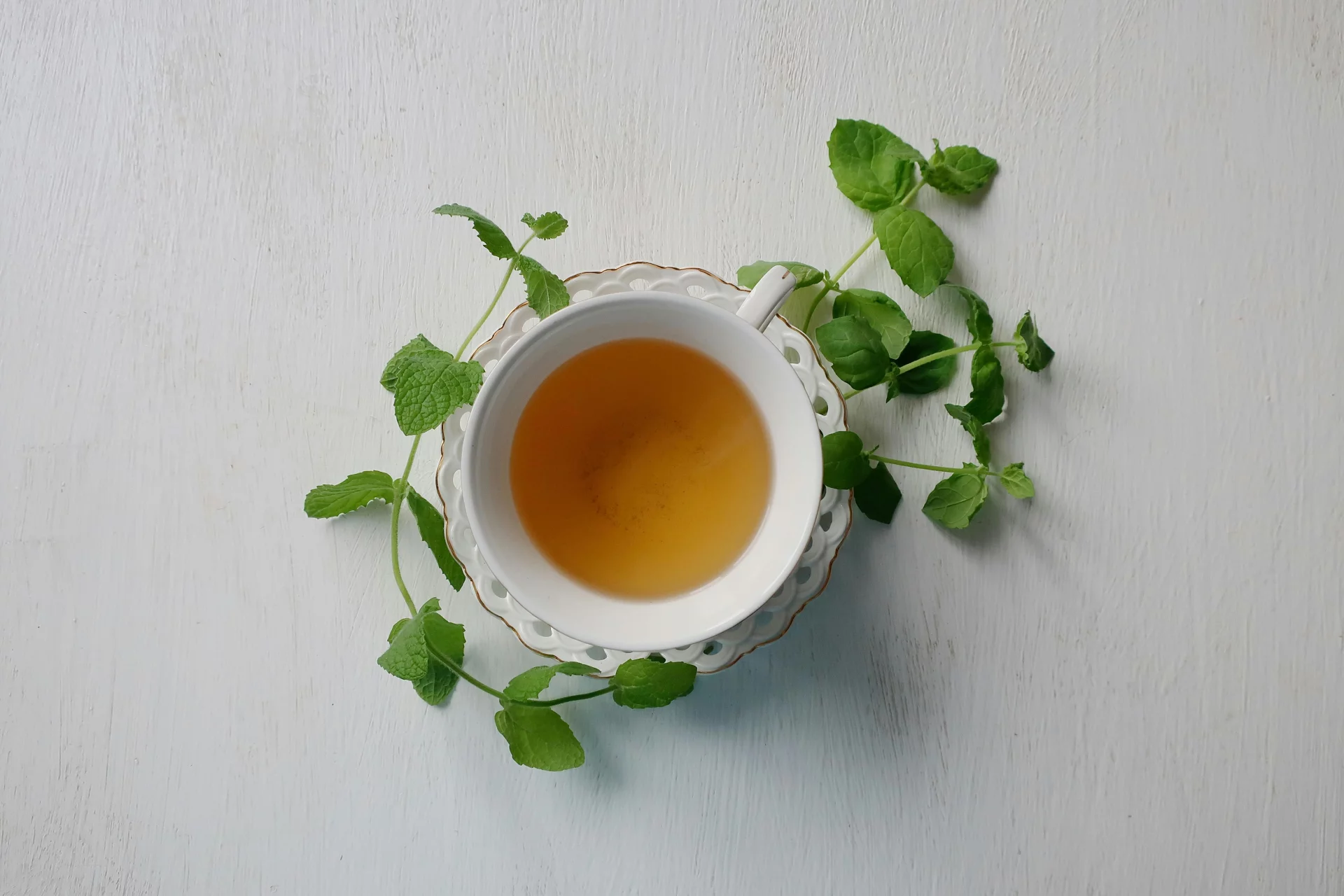 Švieži botaniniai ekstraktai gryname vandenyje